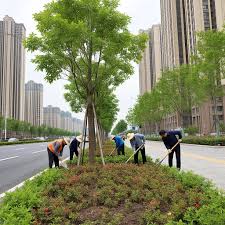 2026美加墨世界杯官网 徐汇区绿化工程师招聘